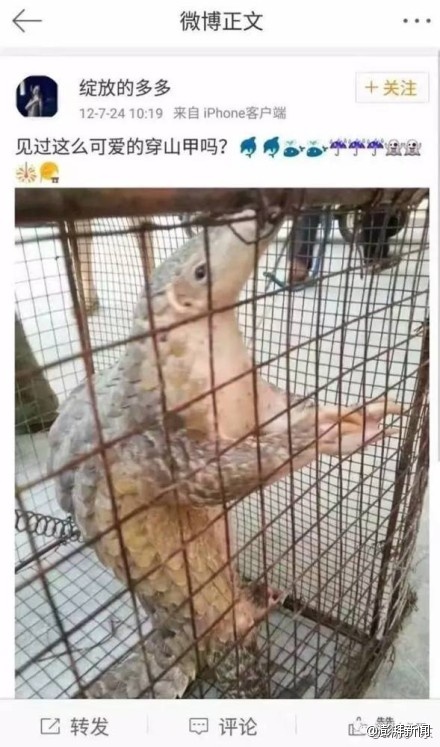 国产精品一区二区久久末发育娇小