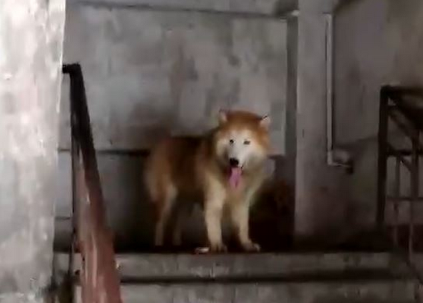 男的操女的