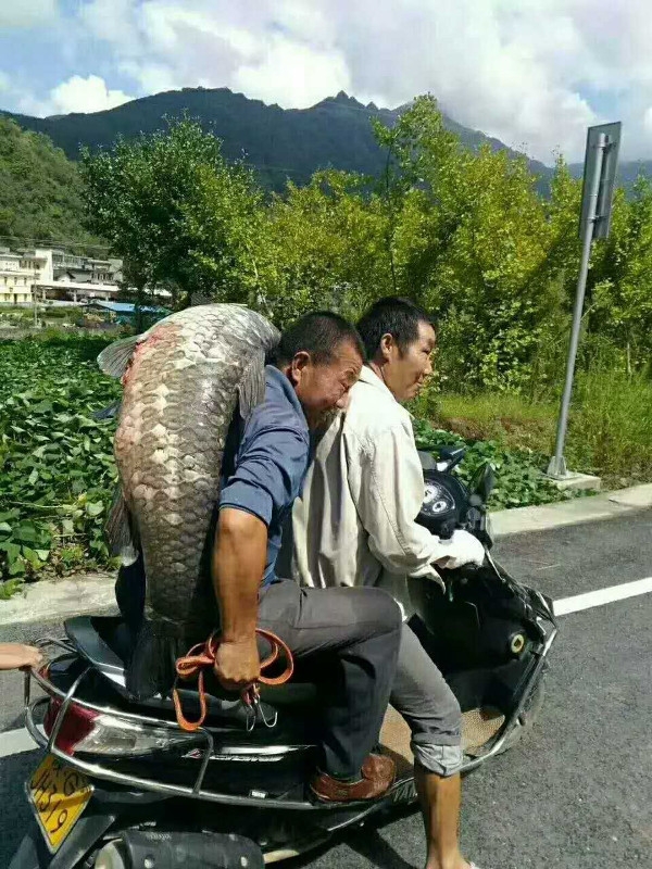 日本乱伦网站