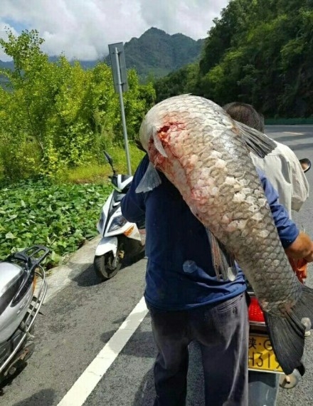欧美 色情 网址