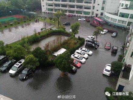 线上看色色网站
