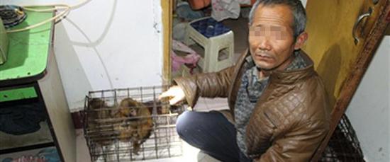 河南耍猴艺人四川买猴被抓后警方接函：猴戏是省内非遗望从宽
