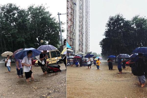 菜地蚂蚁用什么药可以杀死