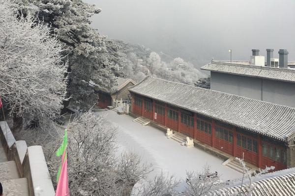 土耳其4層高危樓轟然倒塌 居民大聲尖叫