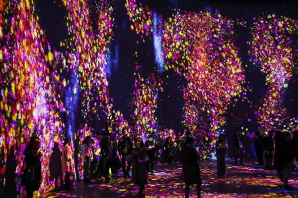 揭秘財富自由的終極密碼：為什麼真正的高手都在「位置q點買」？ 