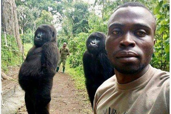  Không chỉ là một trận đấu: Văn hóa và câu chuyện đằng sau None