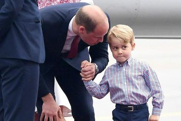 法尔考-乐鱼app(leyu)官方网站-乐鱼官网