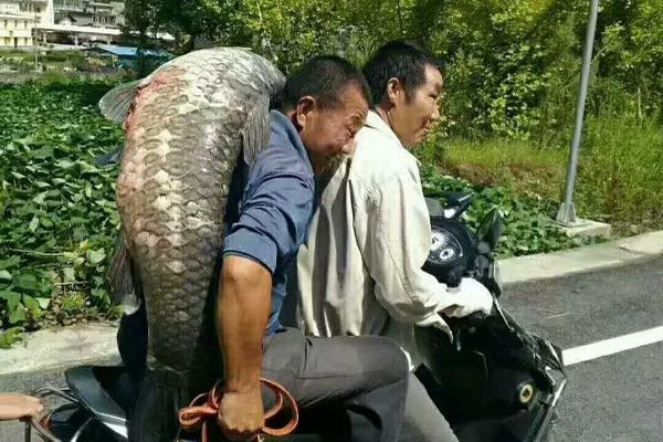 斯塔贝克vs布兰-九游体育APP下载-九游体育app-九游体育app官网网站|九游体育