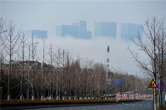图为拍摄于崂山区的平流雾美景。