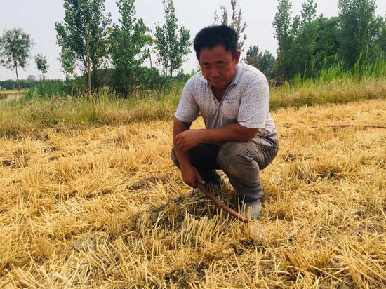馬金堂正在給自家地里的玉米澆水