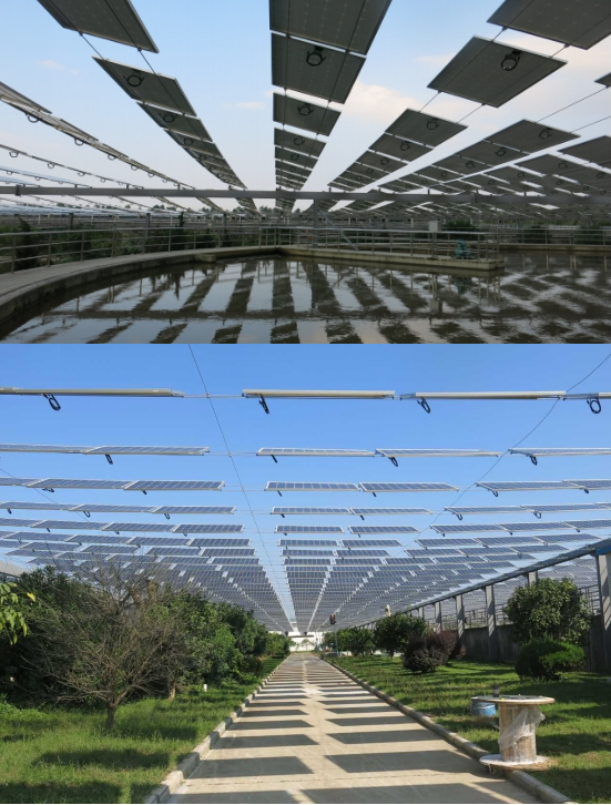 对话茂硕新能源秦传君:立足光伏大力开拓充电