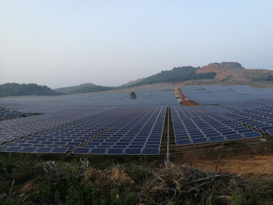 新余茂硕新能源何家边20MW林光互补项目现场