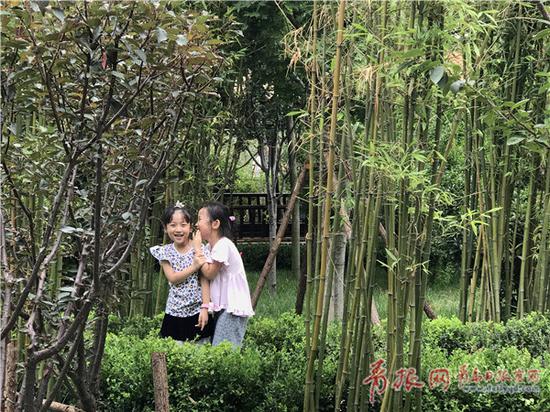 1501153655572082206.jpg 昌邑路沾化路口袋公园