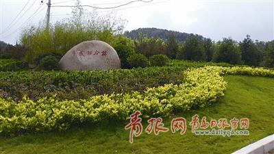 李沧区双峰山拆违后建成的绿地。 周 欣 摄