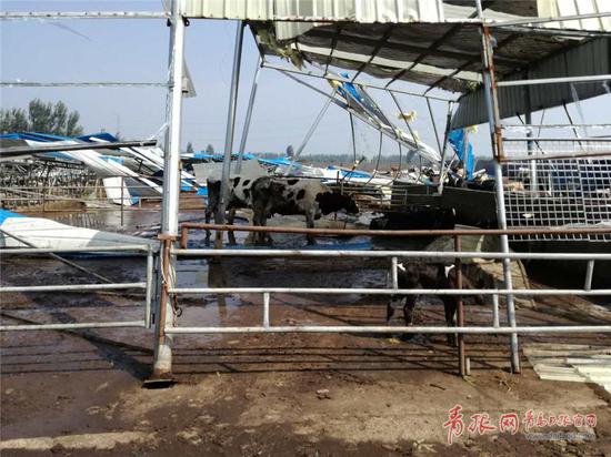 1502096016717048755.jpg 夏格庄镇受灾现场。