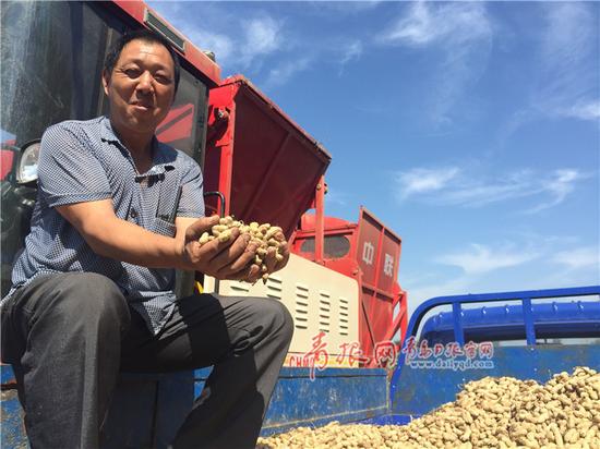 以往花生收获纯靠手工,劳动强度大。图为采用机械化收获花生的农民。