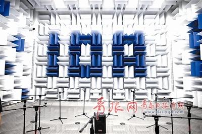 图为全消声实验室。实验室六面都安装有消声尖劈,通过这种特殊消声装置,可以最大程度地降低实验室内的噪音。