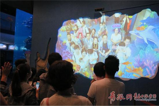 游客们在海底世界观看“人鲨共舞” 。 王雷 摄
