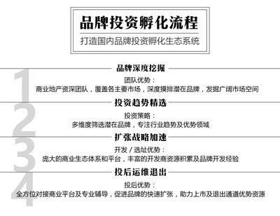 庞森商业品牌投资孵化流程