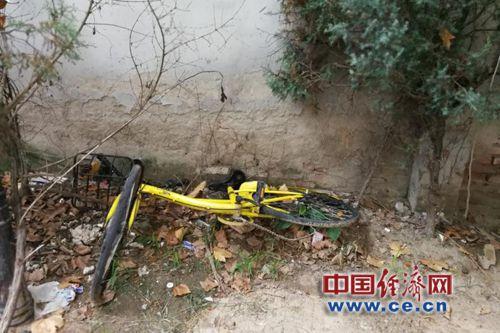 共享單車。經濟日報-中國經濟網記者楊秀峰/攝