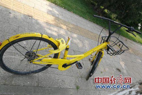 共享单车。经济日报-中国经济网记者杨秀峰/摄