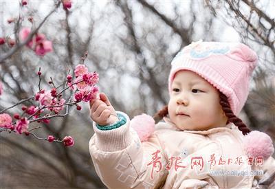 ▲小朋友被娇美的梅花所吸引。 刘 栋 摄