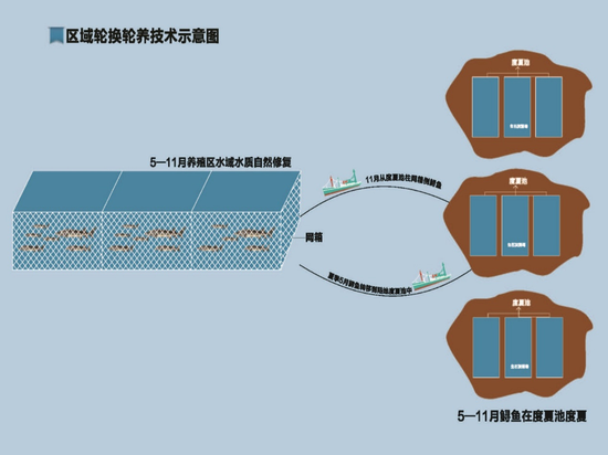 鱼筌的原理_模型图 建造过程 竹编艺术装置 向邵族长老学习制作鱼筌(放置于河流中捕鱼的(3)