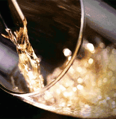 ʢơƿ񻶼حBeers Never Gone