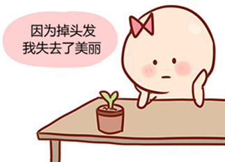 在我国,成年人中有30%的人面临着脱发的困扰,特别是近几年,脱发呈现