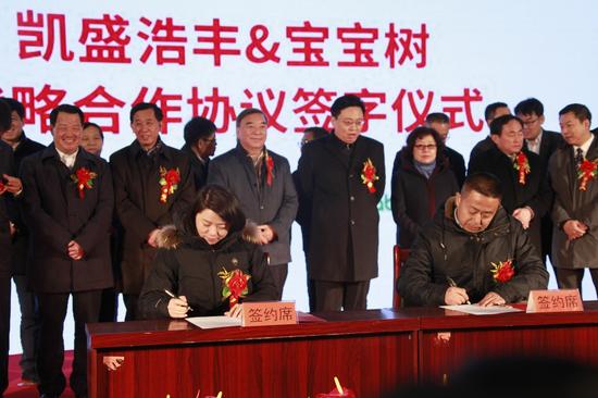 凯盛浩丰马铁军总经理与宝宝树沙鷗总监,签署战略合作协议