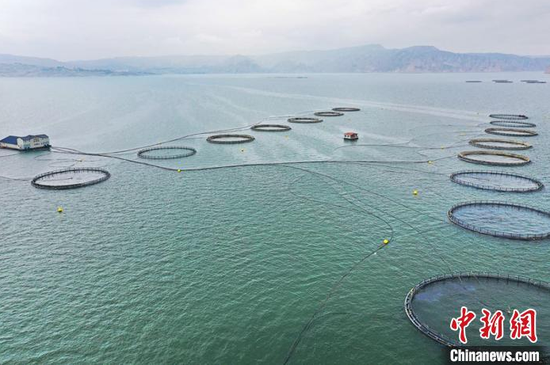 图为龙羊峡水库上的高原冷水鱼养殖场。 仁青措 摄