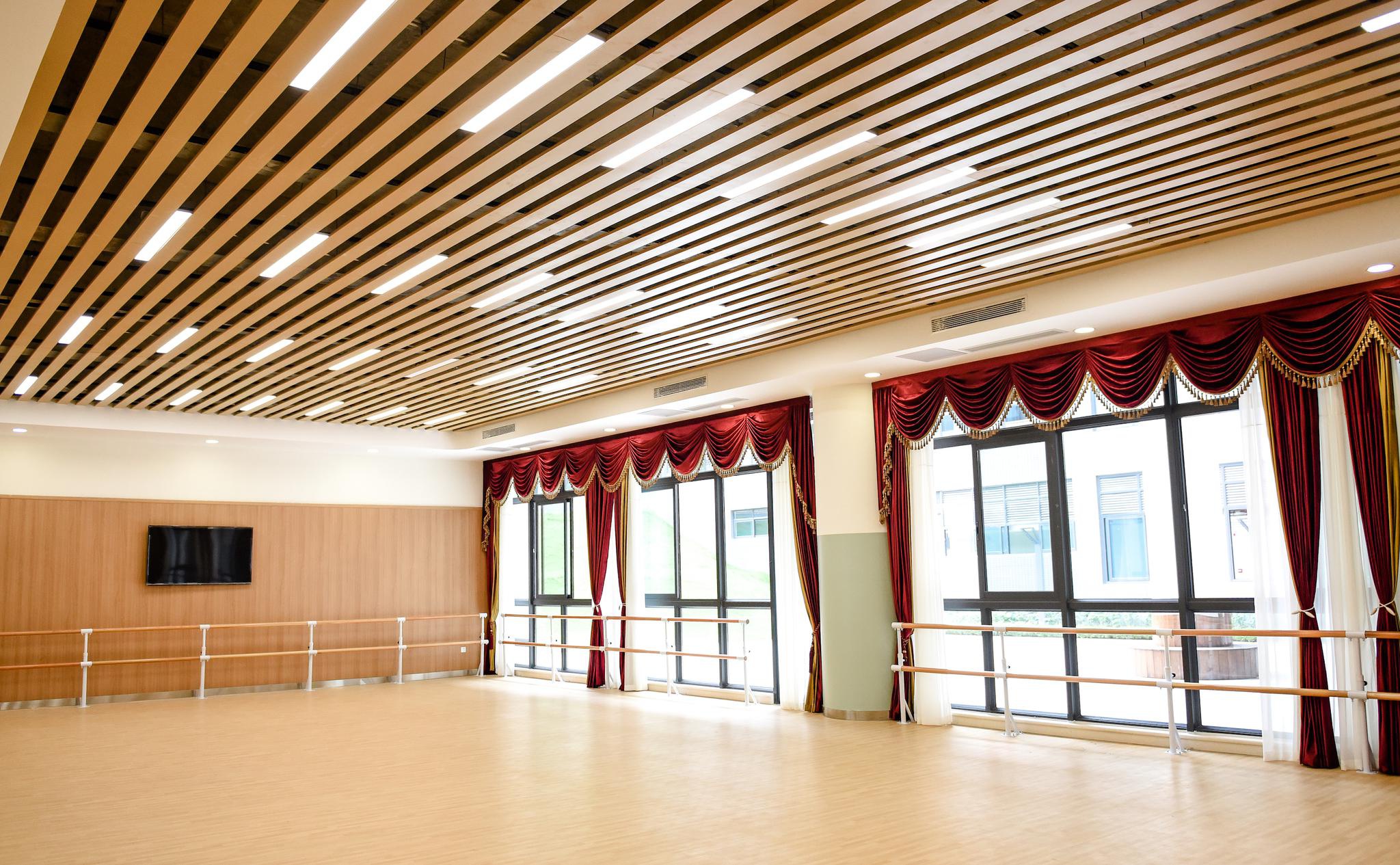 瑜伽 舞蹈练功房