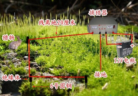 四川一村民田里安电捕猎器抓野兔 电翻老人