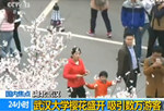 武大櫻花綻放吸引數萬游客 校園變身公園