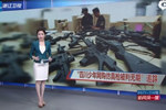 四川少年網購仿真槍被判無期追蹤：申訴半年終獲復查