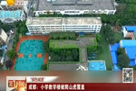 成都—小学教学楼被爬山虎覆盖 