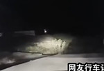 宜賓兩男半夜開車 路遇尸體赤裸上身掛樹上
