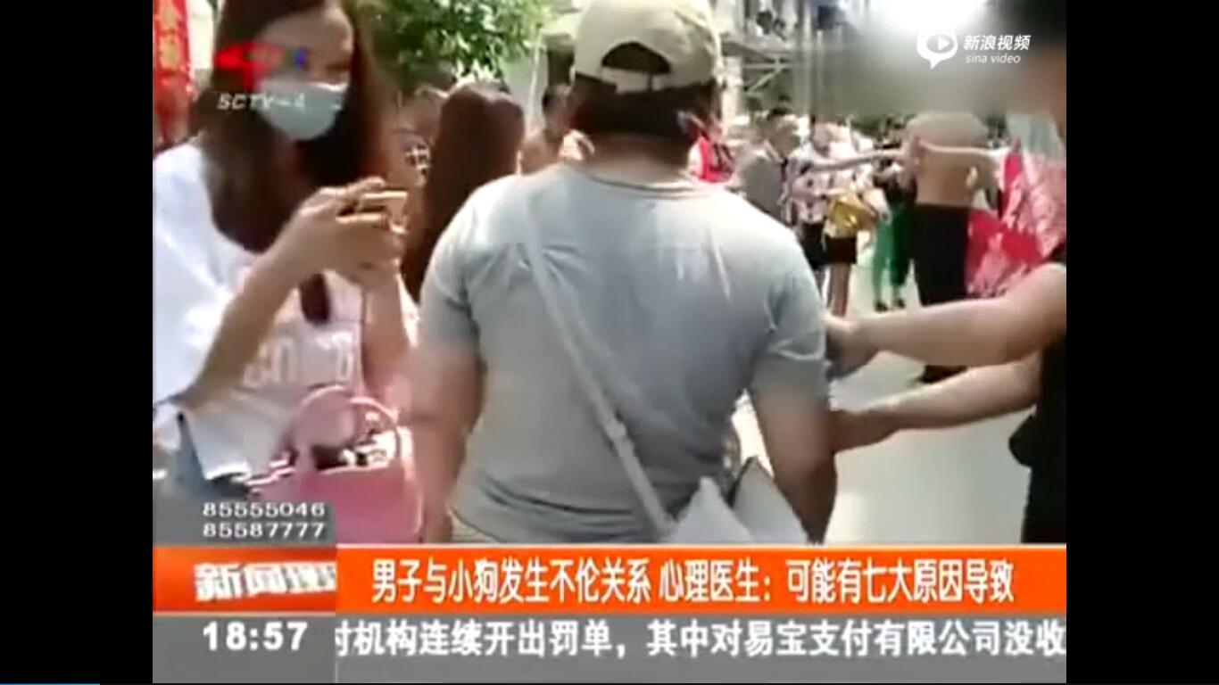 成都一男子與小狗發生不倫關系