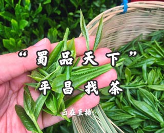 巴中云顶茶文化旅游节暨蜀品天下平昌寻茶之旅