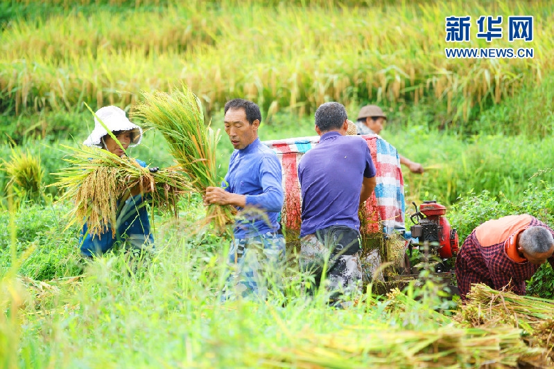 峨眉山多少人口_峨眉山要多少门票