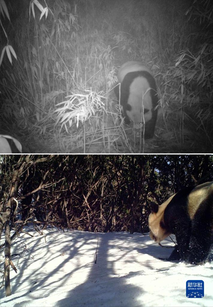 守山人2 06c1-6b7601087f7561a2ffca96e1231248ae.jpg