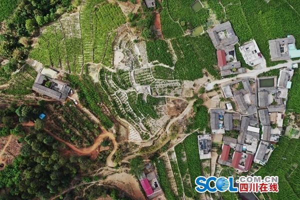德昌县有多少人口_德昌县乡镇地图
