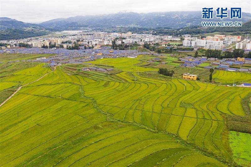 昭觉县人口_昭觉县县城(2)