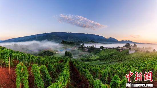 山是什么颜色组成的 8532-iquxruh4159293.jpg