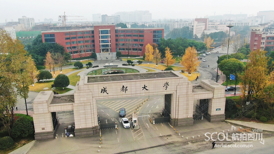 瞰金色校园 | 感受成都大学风吹拂银杏舞