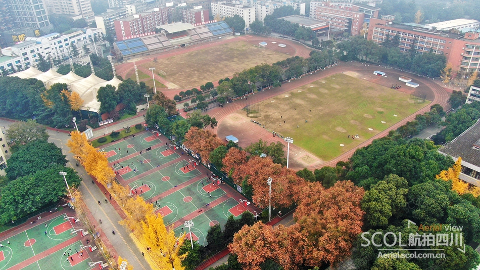 瞰金色校园|赏成都体育学院网红地标银杏