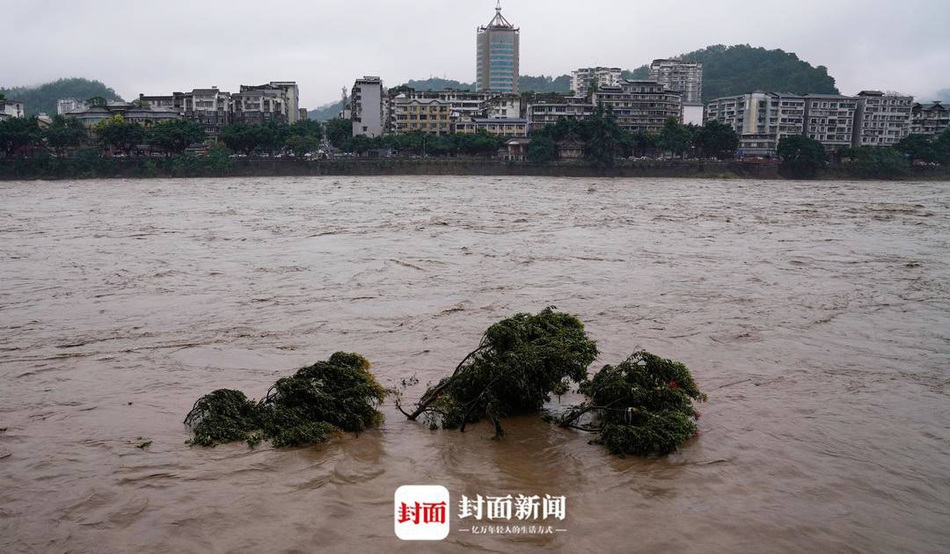 雅安雨城区人口_雨城人,2019年雨城中心城区小学开始招生啦 你想知道的都在这(3)