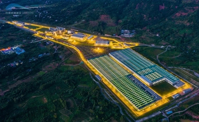 合江镇人口_化州市合江镇石塘村