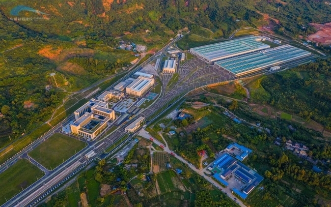 合江镇人口_化州市合江镇石塘村