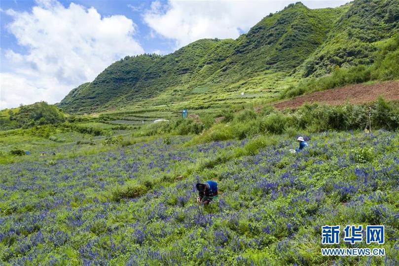 凉山州多少人口_凉山州地图(3)